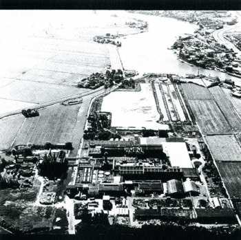 CD/Set di cofanetti The Ex: Dignity Of Labour