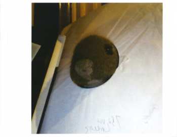 2LP The Fall: Sub-lingual Tablet: 10th Anniversary