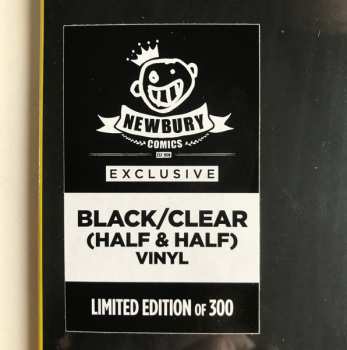 LP The Flamin' Groovies: Now