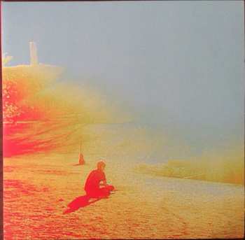 2LP The Flaming Lips: The Terror
