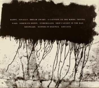 CD The Frames: Burn The Maps