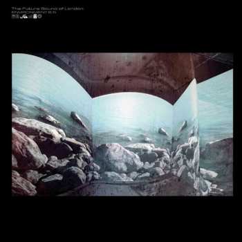 Album The Future Sound Of London: Environment 6.5