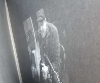 LP The Gaslight Anthem: Handwritten CLR | LTD