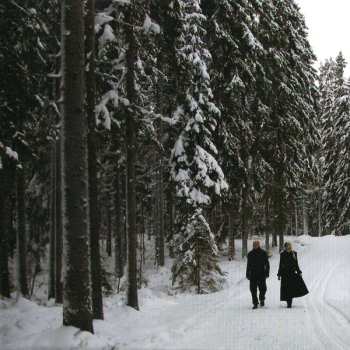 CD The Girl & The Robot: The Beauty Of Decay DIGI