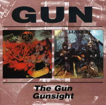 Gun / Gunsight