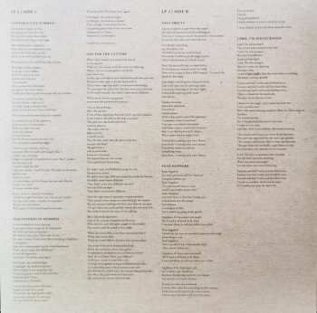 3LP The Hold Steady: Stay Positive DLX