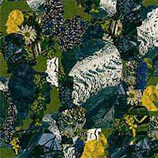 LP The Horse Company: Calypso