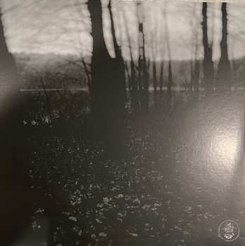 LP The Hotelier: It Never Goes Out