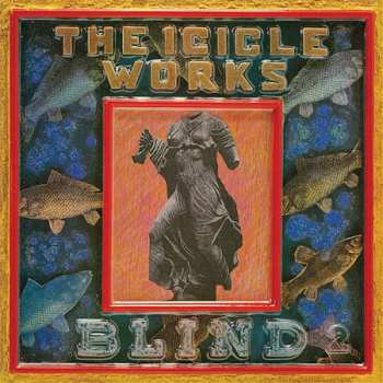 5CD/Set di cofanetti The Icicle Works: 5 Albums