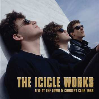 5CD/Set di cofanetti The Icicle Works: 5 Albums