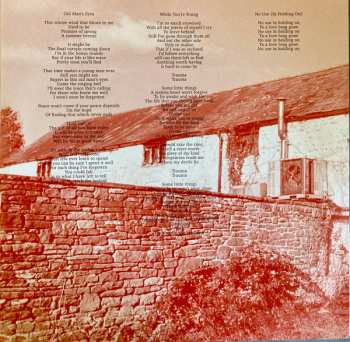 2LP The Joy Hotel: Ceremony CLR | LTD