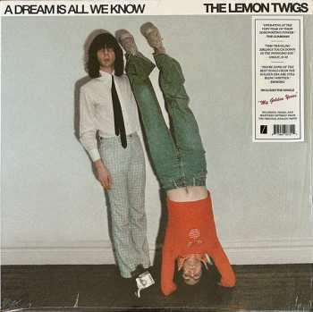 LP The Lemon Twigs: A Dream Is All We Know