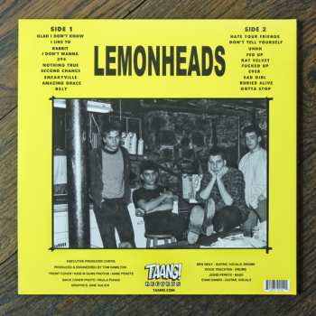 LP The Lemonheads: Hate Your Friends CLR | LTD