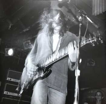 2LP The Lemonheads: It's A Shame About Ray