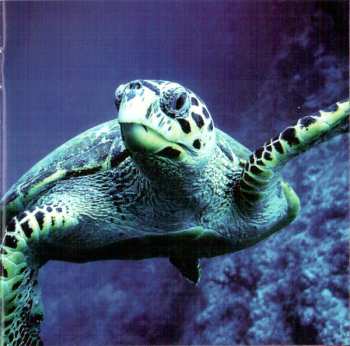 CD The Lens: Regeneration