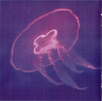 CD The Lens: Regeneration