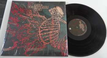 LP The Levitation Hex: Cohesion