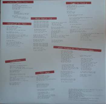 LP The Libertines: The Libertines