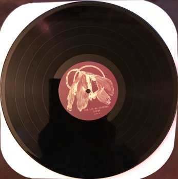 LP The Loving Paupers: Lines