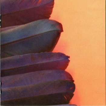 CD/DVD The Magic Band: 21st Century Mirror Men