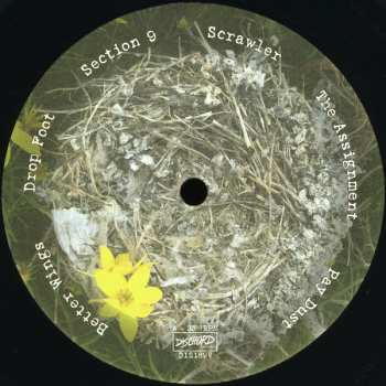 LP The Messthetics: Anthropocosmic Nest