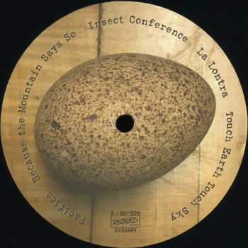 LP The Messthetics: Anthropocosmic Nest
