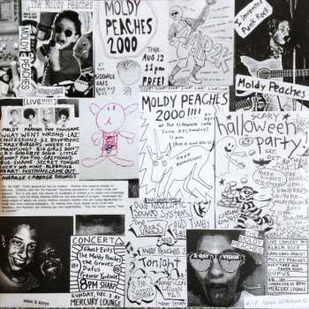 2LP The Moldy Peaches: The Moldy Peaches