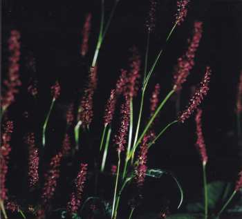 CD The Mountain Goats: Tallahassee DIGI