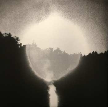 2LP The National: Trouble Will Find Me