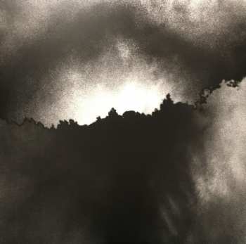 2LP The National: Trouble Will Find Me