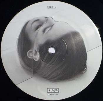 2LP The National: Trouble Will Find Me