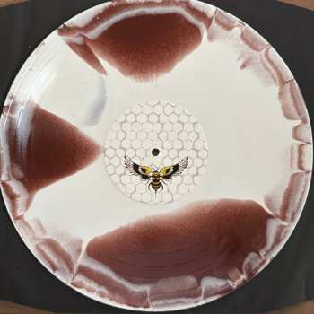 2LP The New Amsterdams: Killed Or Cured CLR | LTD