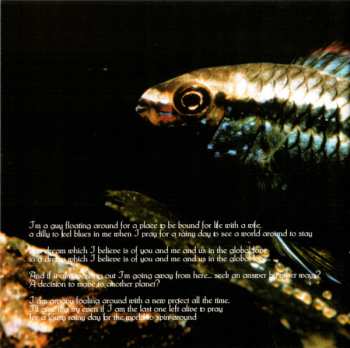 CD The New Grove Project: Brill