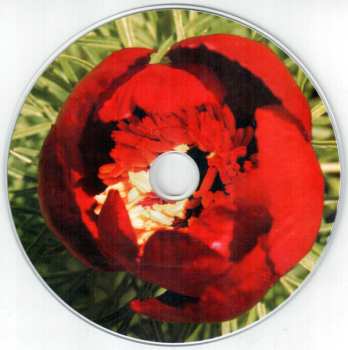 CD The New Grove Project: Brill