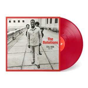LP The Notations: Still Here (1967-1973) LTD | CLR