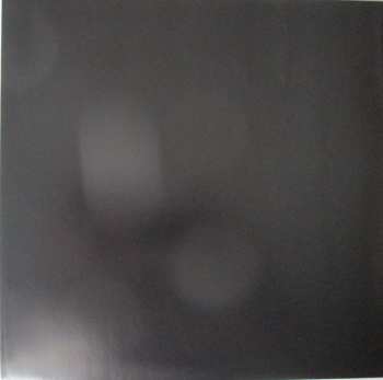 LP The Notwist: The Devil, You + Me