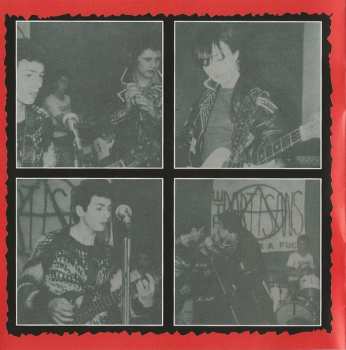 3CD The Partisans: 1981 - 84