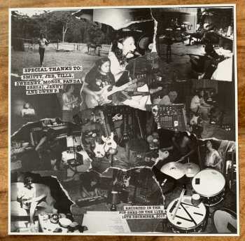 LP The Pinheads: Is This Real