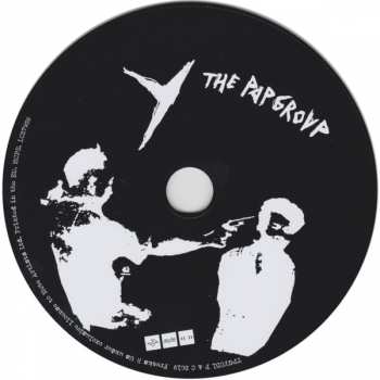CD The Pop Group: Y