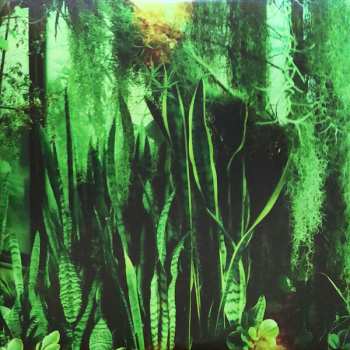2LP The Promise Ring: Wood/Water