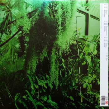 2LP The Promise Ring: Wood/Water