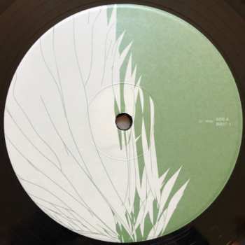 2LP The Promise Ring: Wood/Water