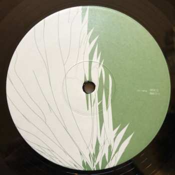 2LP The Promise Ring: Wood/Water