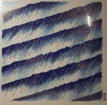 LP The Raincoats: Odyshape LTD