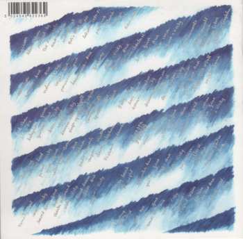 CD The Raincoats: Odyshape