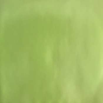 2SP The Raveonettes: Into The Night