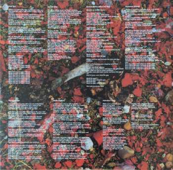 LP The Red Flags: Self-Centred And Delusional