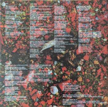 LP The Red Flags: Self-Centred And Delusional