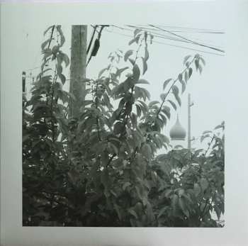 LP The Reds, Pinks And Purples: Uncommon Weather LTD | CLR