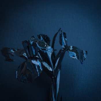 Album A Swarm Of The Sun: The Rifts